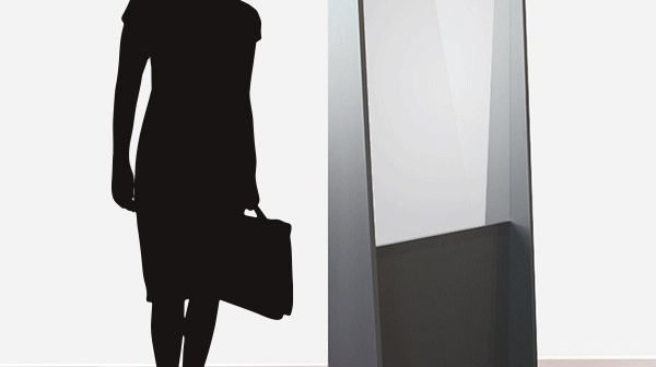 Mobile Protective Screen