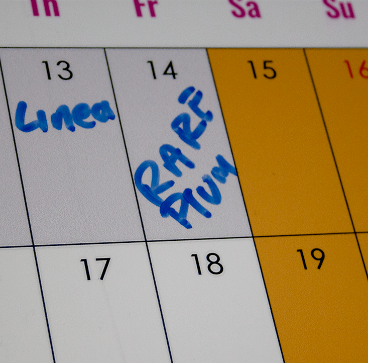 Drywipe Foamex Board