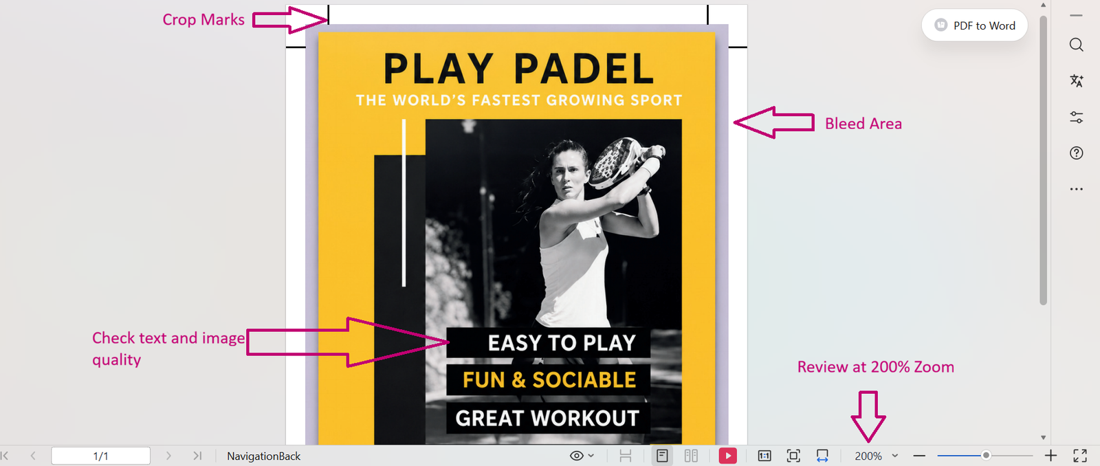 Check the exported PDF